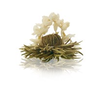 Fiore di Tè - Monte Bianco Tè bianco